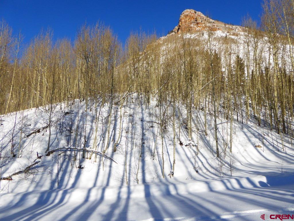 6 Silverton Co 81433 Silverton, CO 81433 - Photo 14 of 33 a view of yard with trees in the background