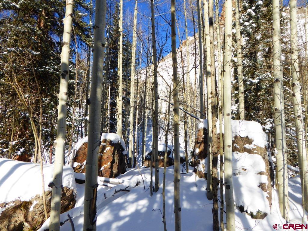 6 Silverton Co 81433 Silverton, CO 81433 - Photo 15 of 33