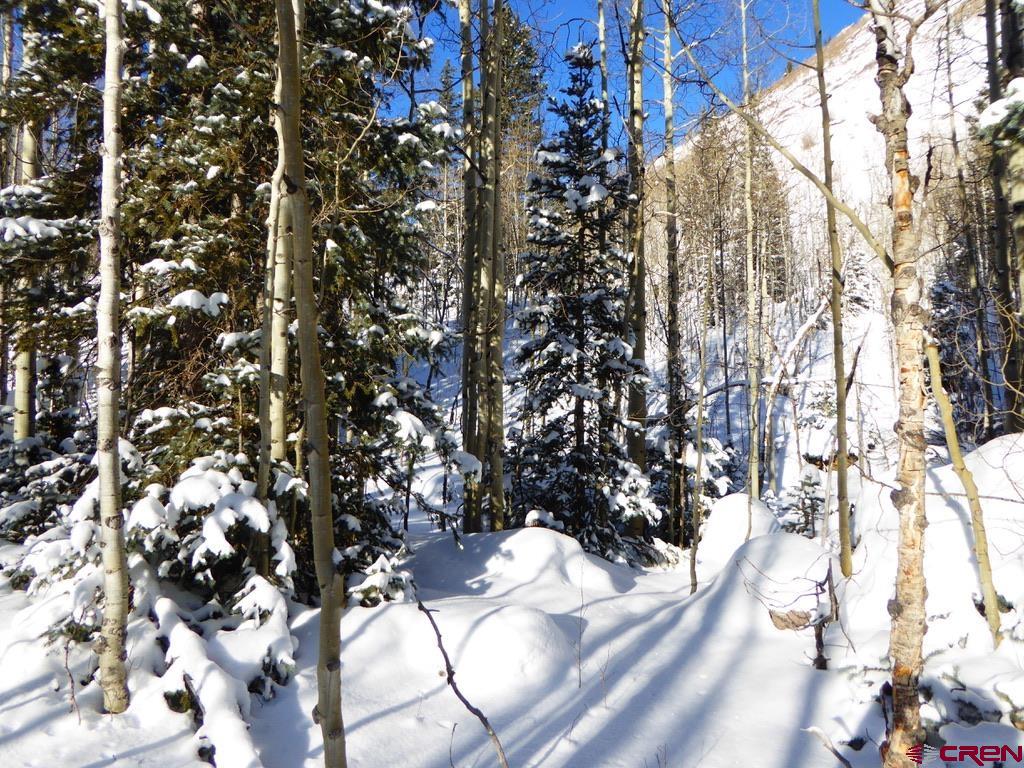 6 Silverton Co 81433 Silverton, CO 81433 - Photo 16 of 33 a view of tree