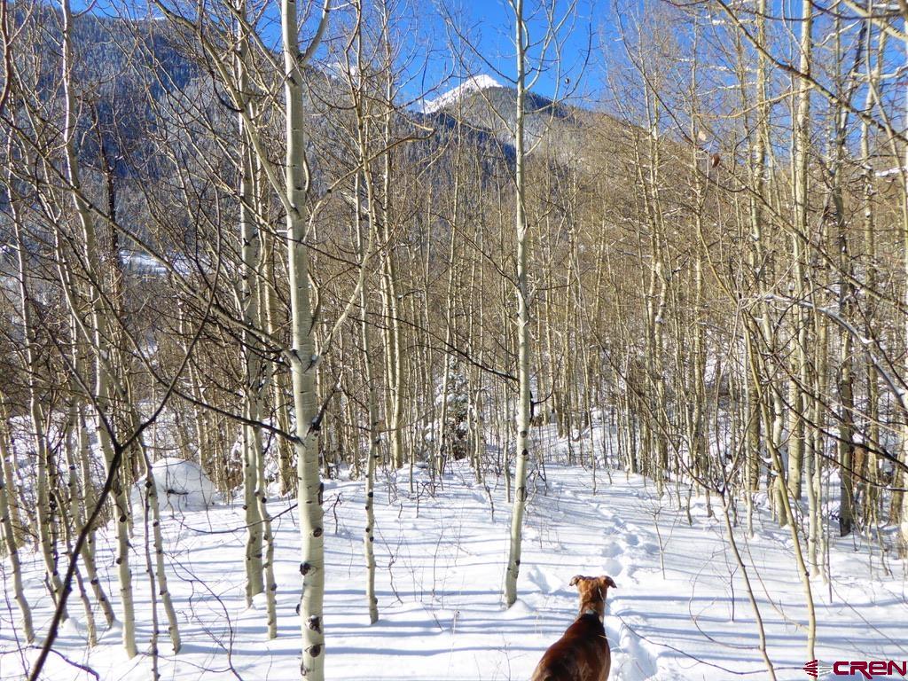 6 Silverton Co 81433 Silverton, CO 81433 - Photo 21 of 33 a view of a yard