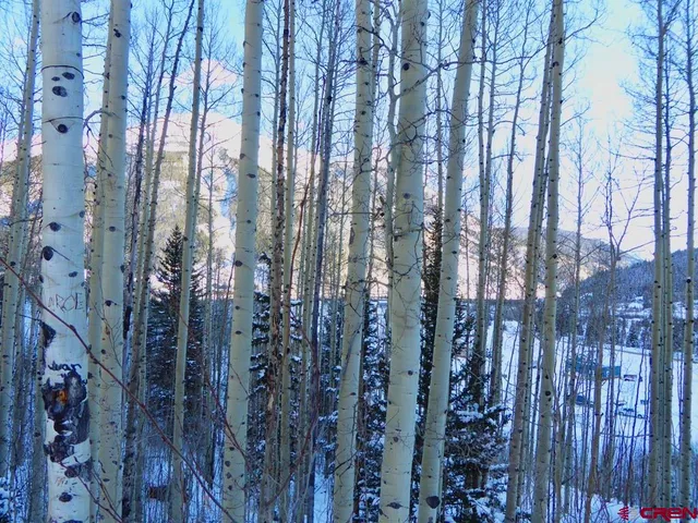 a view of a backyard of the house