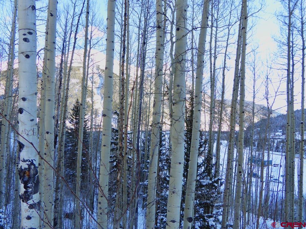 6 Silverton Co 81433 Silverton, CO 81433 - Photo 29 of 33 a view of a forest with a building