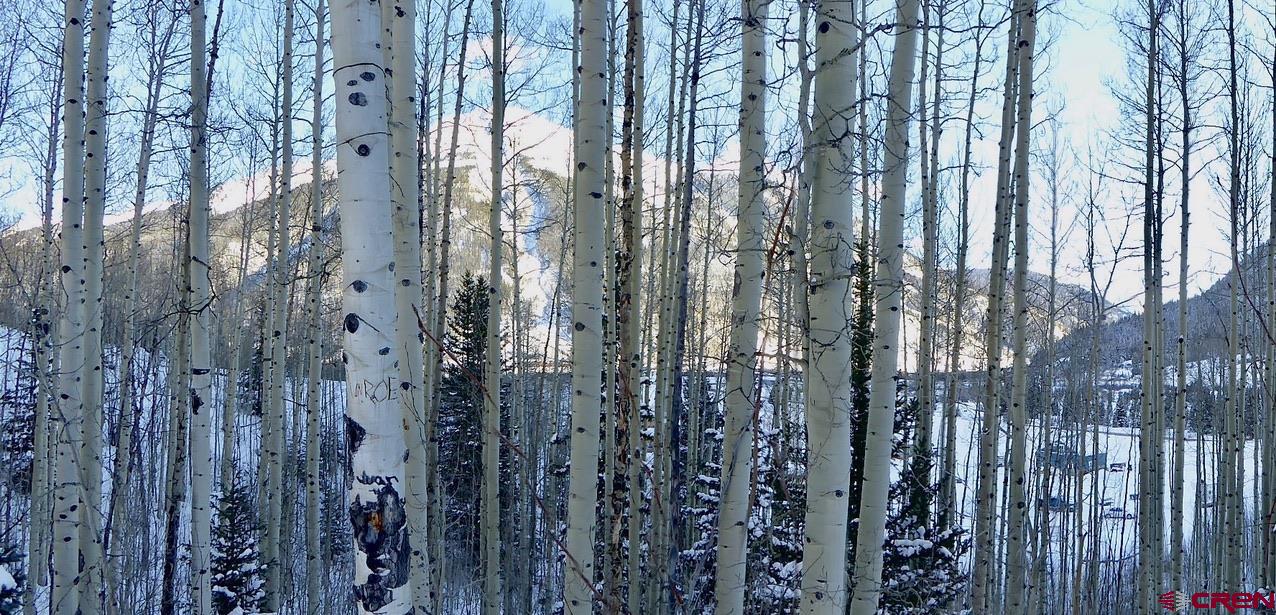 6 Silverton Co 81433 Silverton, CO 81433 - Photo 30 of 33 a view of a forest with a tree