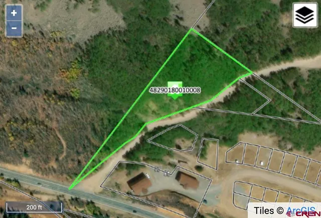 a view of a forest with a trees