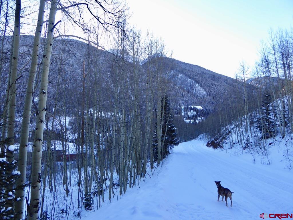 6 Silverton Co 81433 Silverton, CO 81433 - Photo 32 of 33 a view of a house with a yard