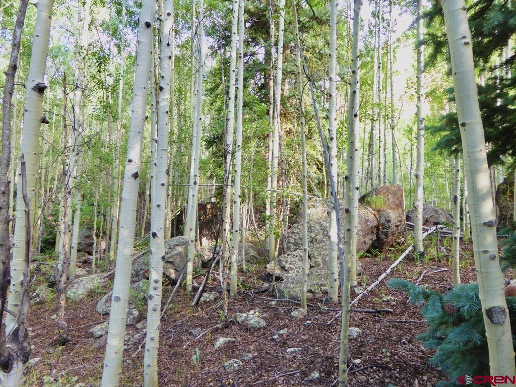 6 Silverton Co 81433 Silverton, CO 81433 - Photo 5 of 33 a view of a garden