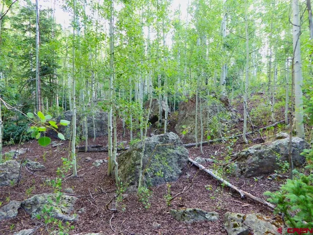 a view of backyard with green space