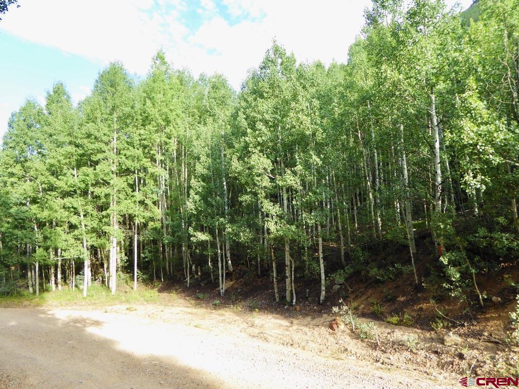 6 Silverton Co 81433 Silverton, CO 81433 - Photo 9 of 33 a view of outdoor space with trees