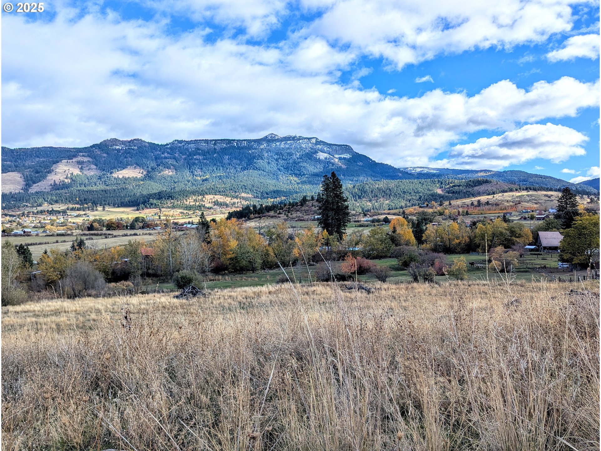 a view of a dry yard with mountain