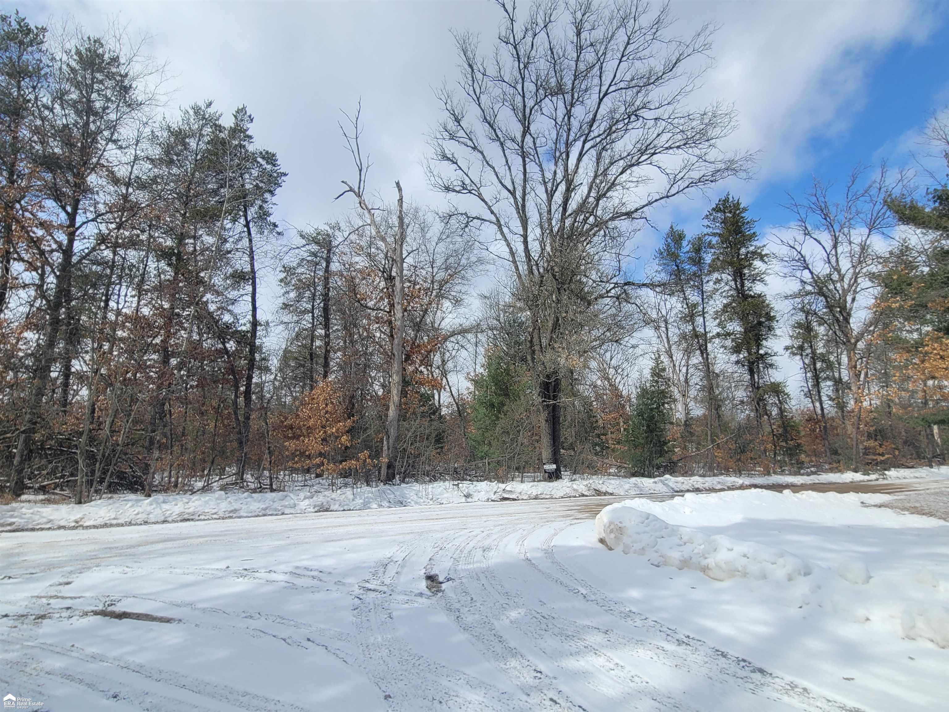 V/l Edith Schneider Road Harrison, MI 48625 - Photo 4 of 7