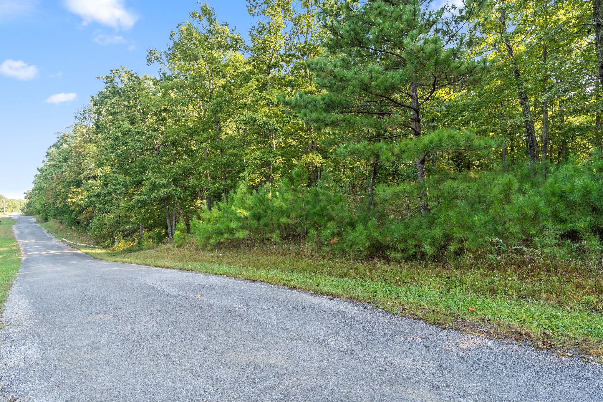 0 Steven Dr Lane Tennessee Ridge, TN 37178 - Photo 1 of 3 Gallery Image 1