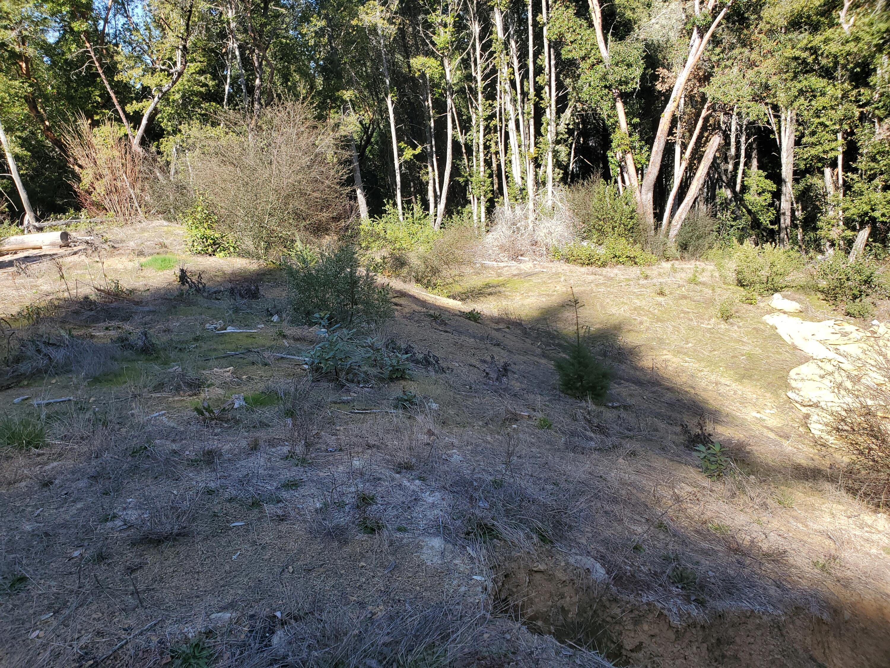 700 Willow Road Alderpoint, CA 95511 - Photo 12 of 19