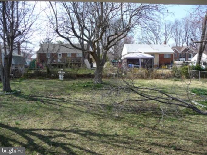 5812 Brunswick Street Springfield, VA 22150 - Photo 11 of 11 Back yard