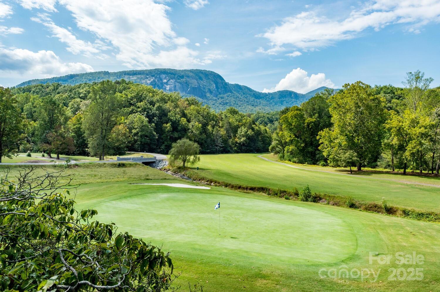 108 June Court Lake Lure, NC 28746 - Photo 43 of 46 a view of a golf course with a garden