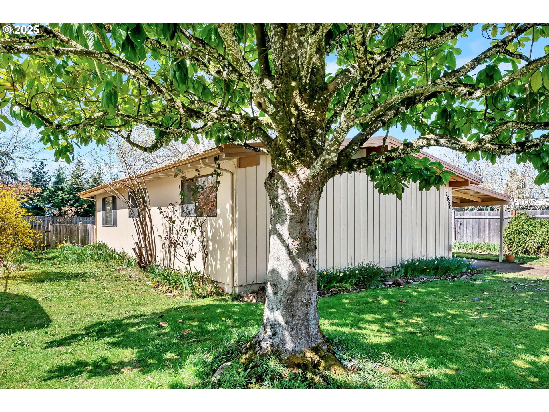 2550 Jackson Street Eugene, OR 97405 - Photo 37 of 37