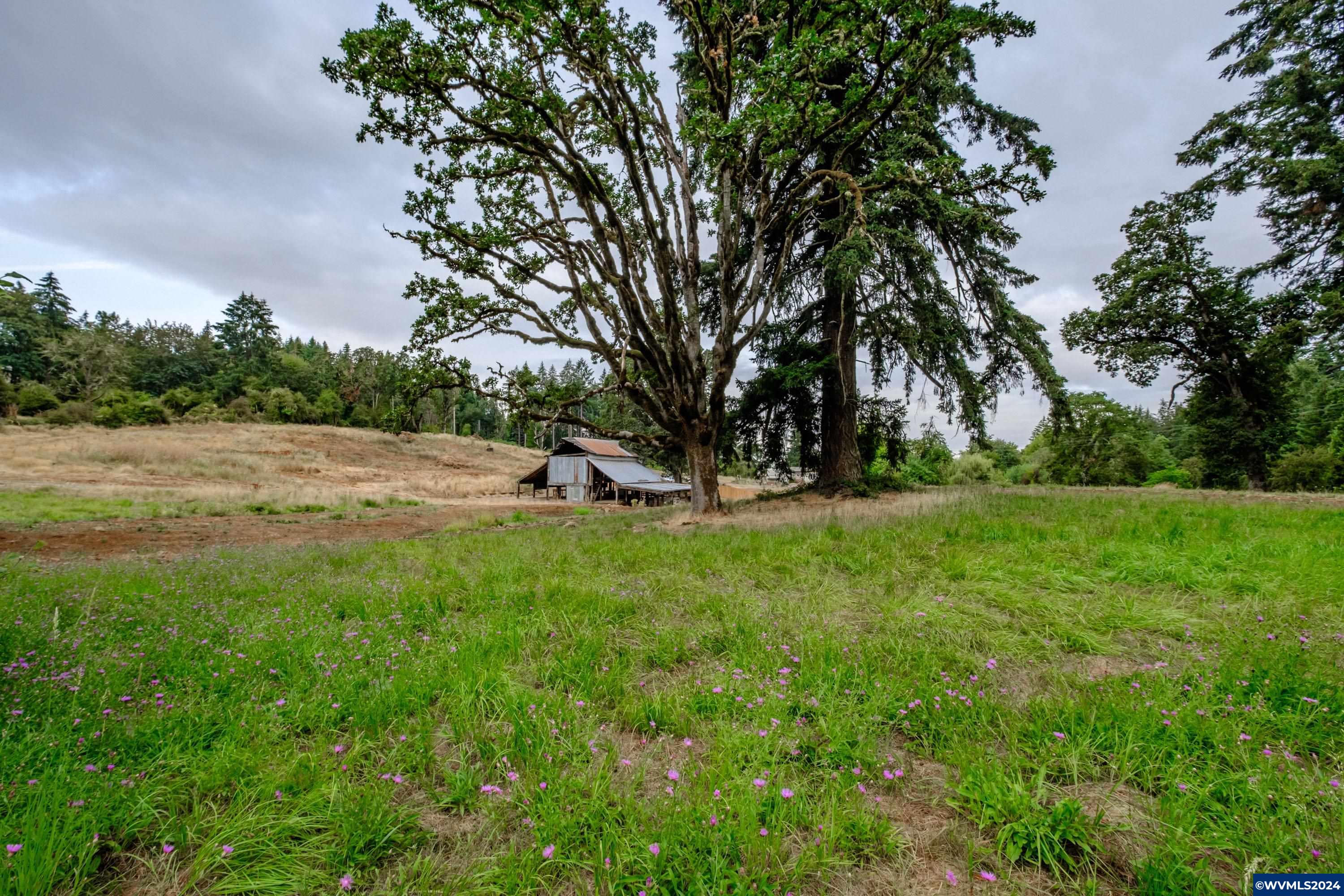 Tbd Rodgers Mountain Loop Scio, OR 97374 - Photo 30 of 41 Gallery Image 30