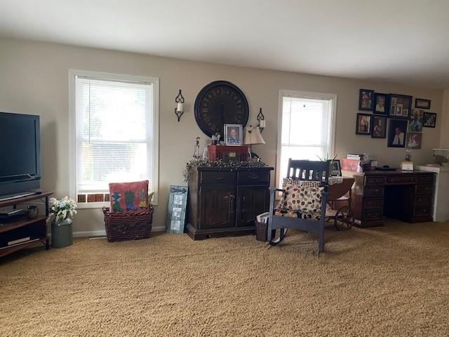 401 South Fletcher Street Frankton, IN 46044 - Photo 12 of 23