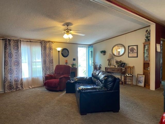 401 South Fletcher Street Frankton, IN 46044 - Photo 6 of 23