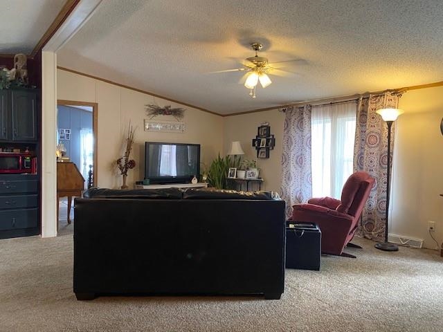 401 South Fletcher Street Frankton, IN 46044 - Photo 7 of 23
