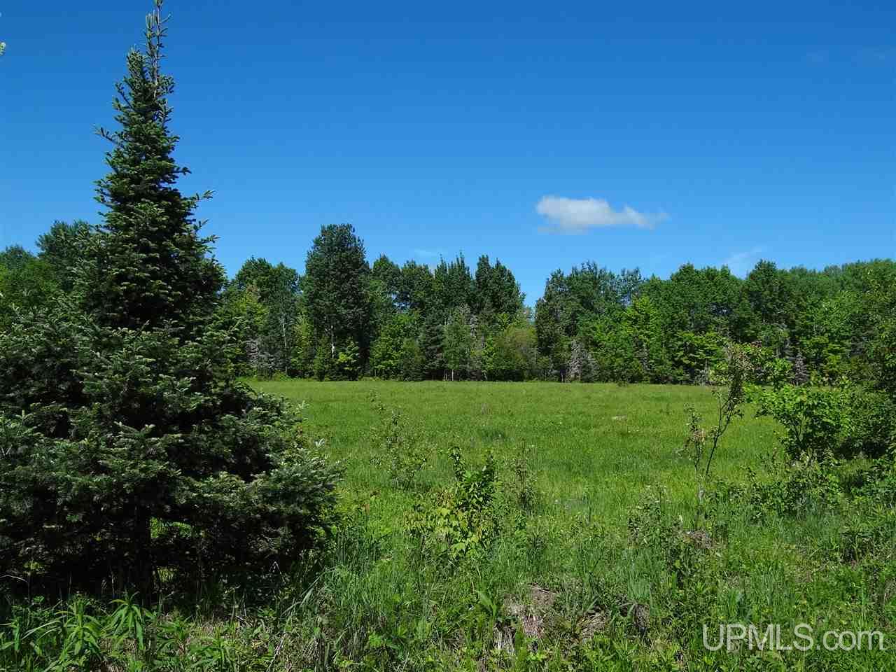 Tbd Juno Road Mass City, MI 49948 - Photo 25 of 29