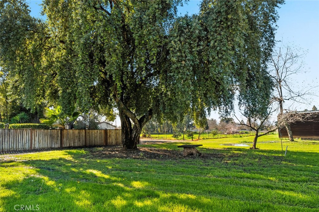 1041 Washington Street Willows, CA 95988 - Photo 55 of 69