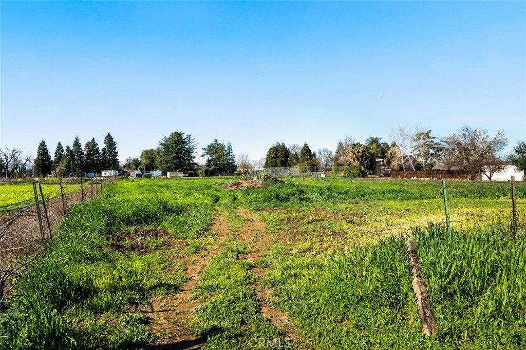 1041 Washington Street Willows, CA 95988 - Photo 58 of 69