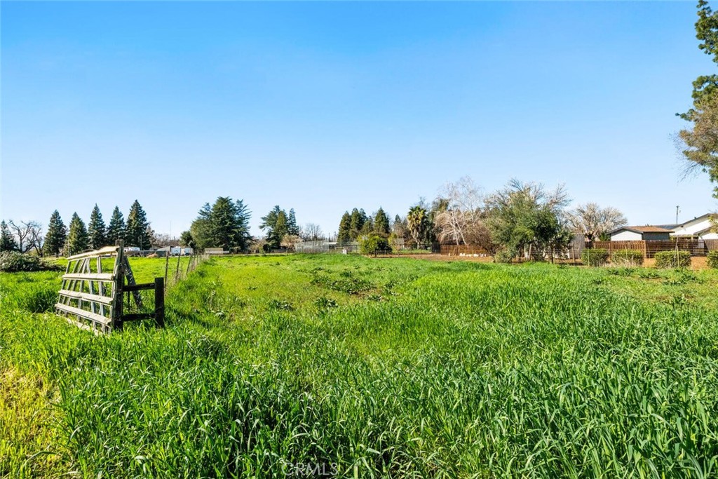 1041 Washington Street Willows, CA 95988 - Photo 69 of 69 Fenced Pasture Area