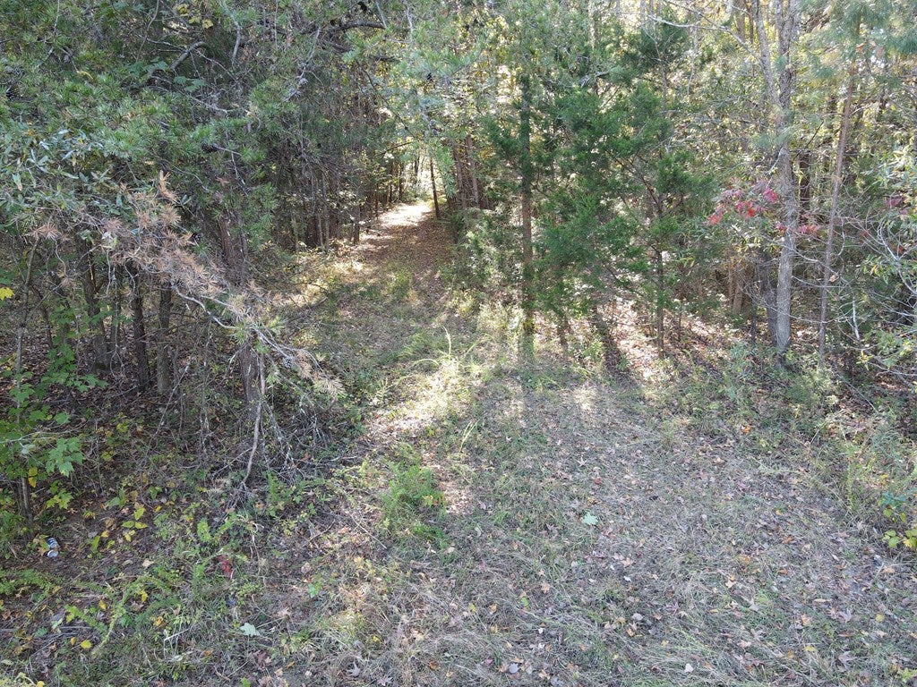 Parcel A South Farmington Road Skipwith, VA 23968 - Photo 3 of 4 Gallery Image 3