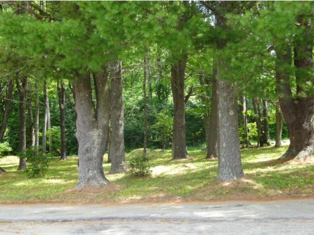 175 Spring Hill Road Sharon, NH 03458 - Photo 20 of 22