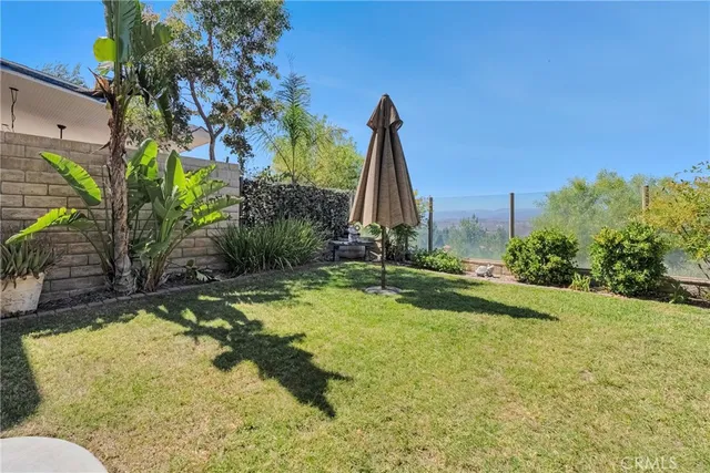 a view of a backyard with plants and palm tree