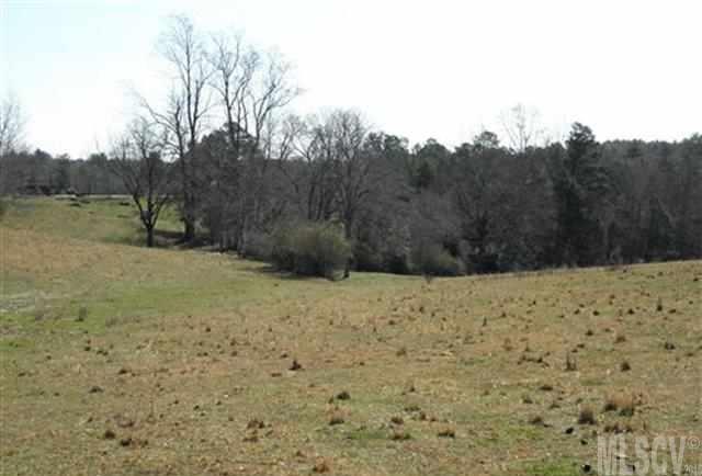 Tbn Lower Cedar Valley Road, Unit 1 Hudson, NC 28638 - Photo 8 of 9 Gallery Image 8