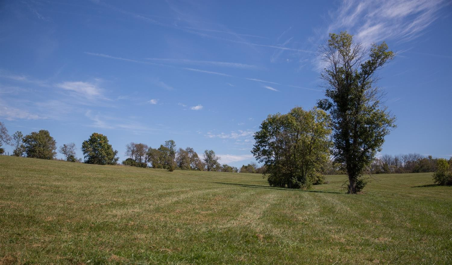 455 Iron Works Road Paris, KY 40361 - Photo 7 of 23 Photo 7