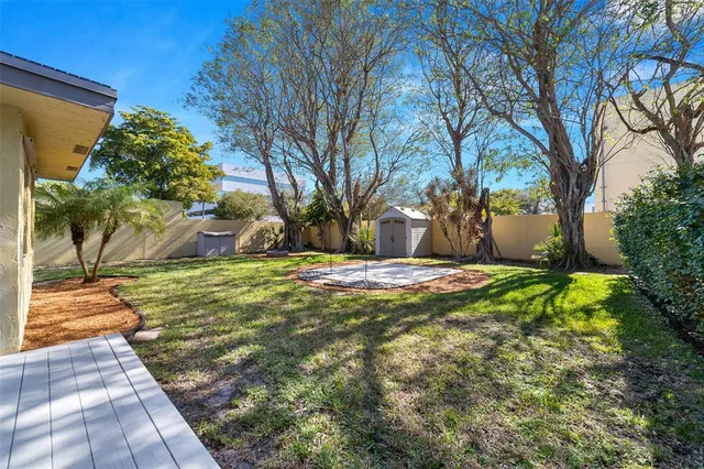 a view of yard with large tree