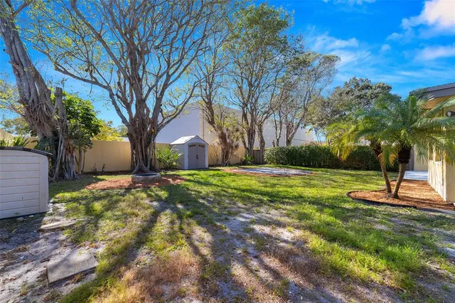 a view of backyard with tree
