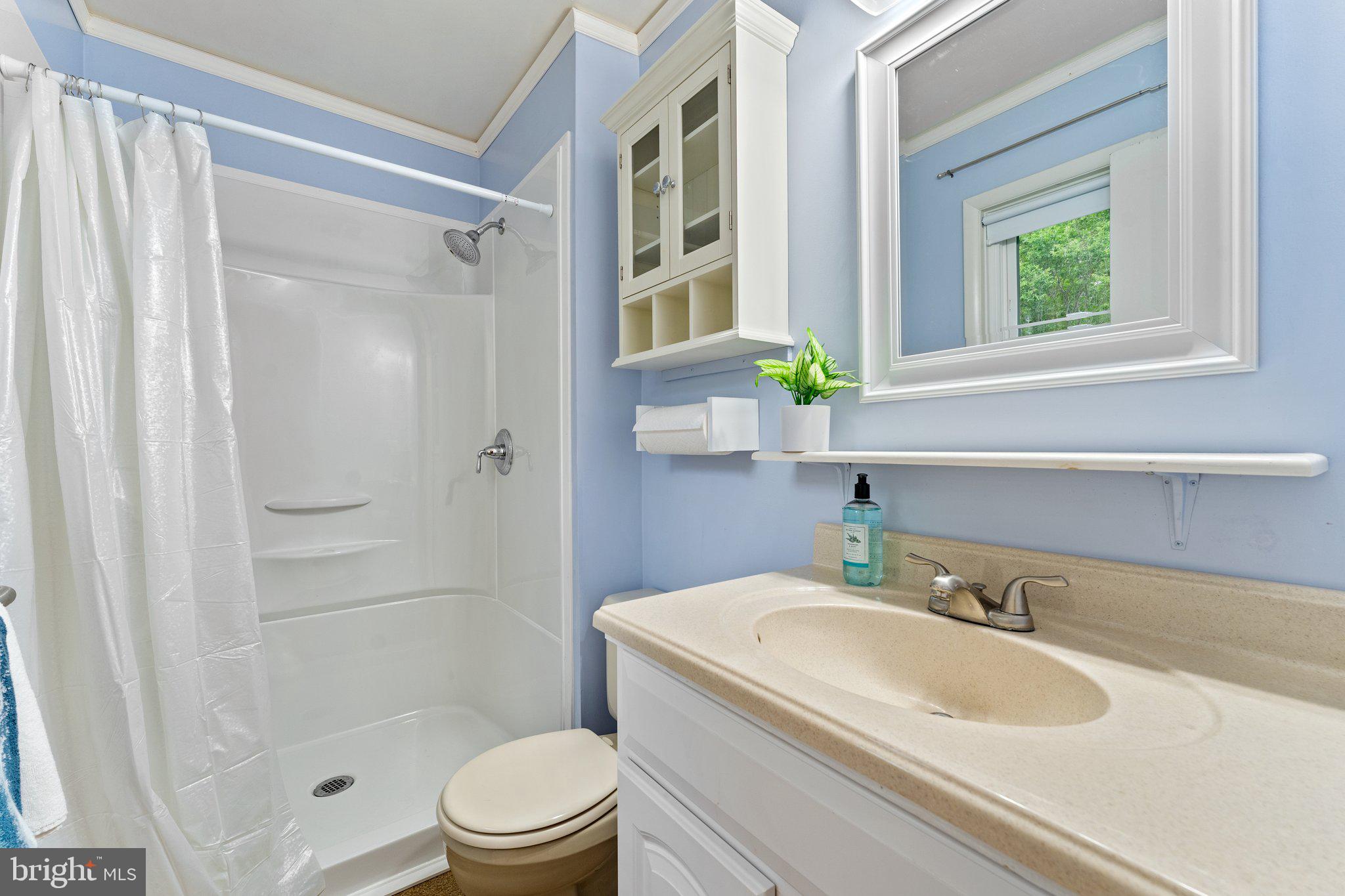 9636 Clarkes Road Bealeton, VA 22712 - Photo 38 of 88 Master bath