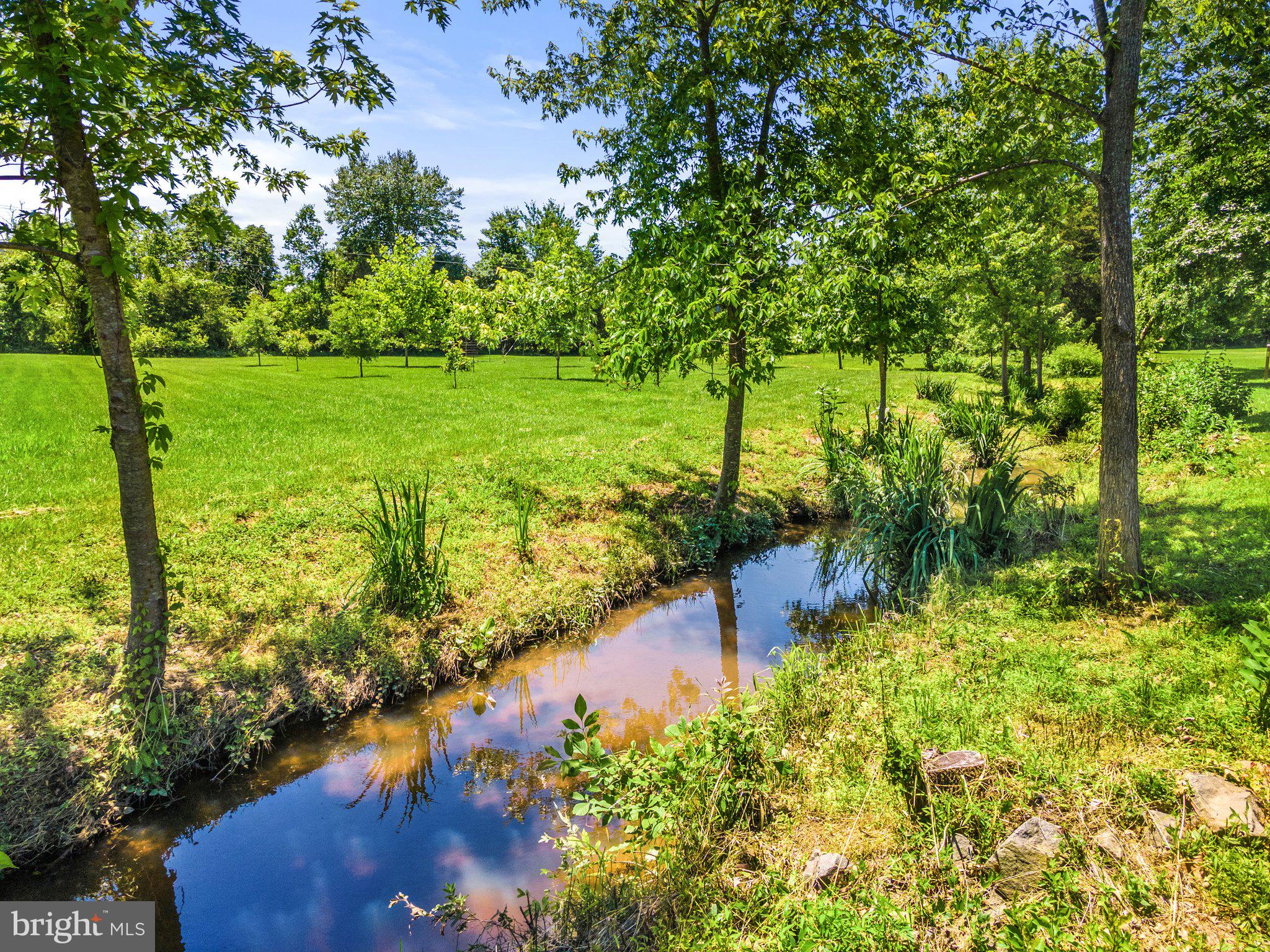 9636 Clarkes Road Bealeton, VA 22712 - Photo 77 of 88