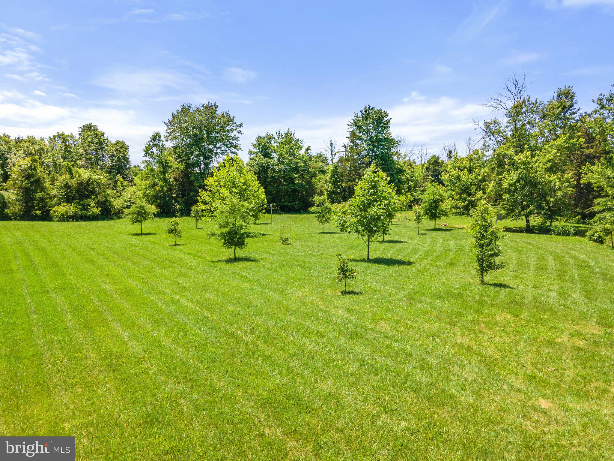 9636 Clarkes Road Bealeton, VA 22712 - Photo 84 of 88