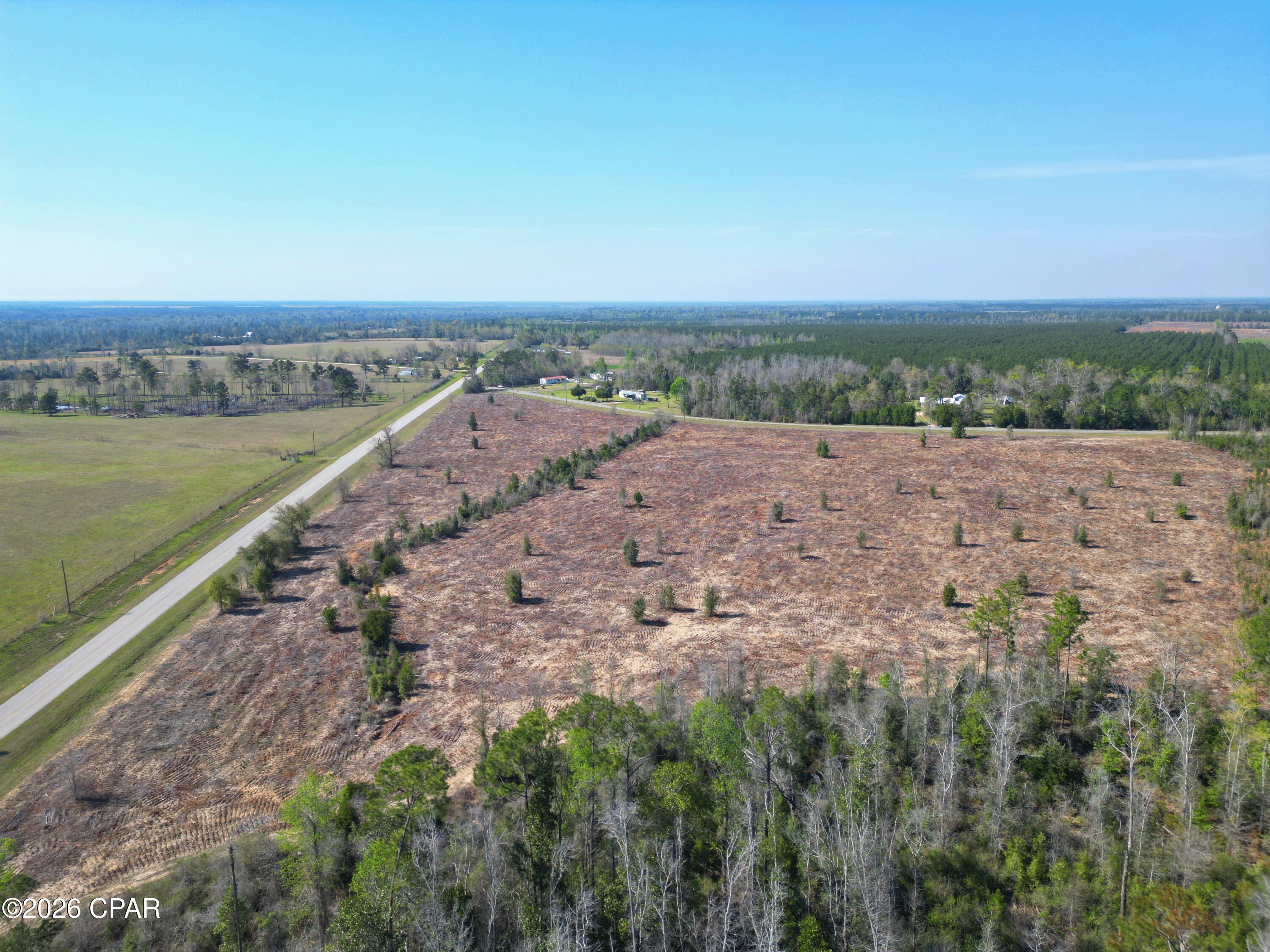 Tbd Carlos Peavy Road Blountstown, FL 32424 - Photo 2 of 8