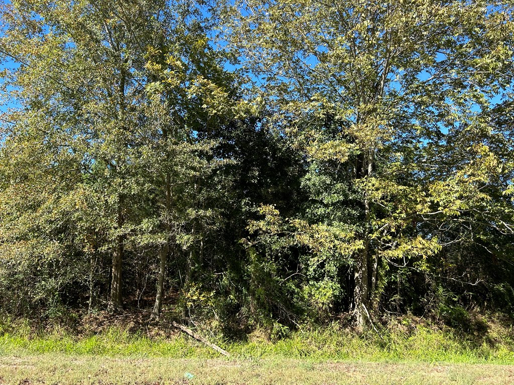 5-ac 5-ac Road Cottonwood, AL 36320 - Photo 4 of 23