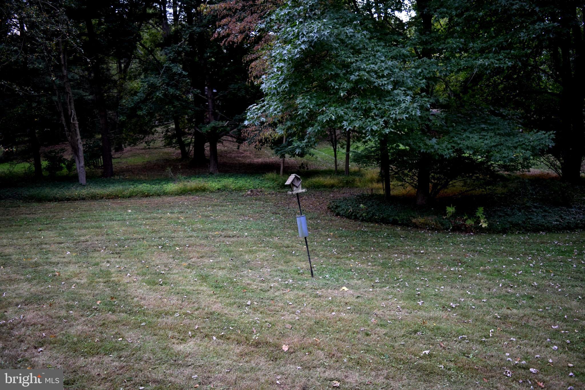 346 Darlington Road Media, PA 19063 - Photo 46 of 60 Yard View