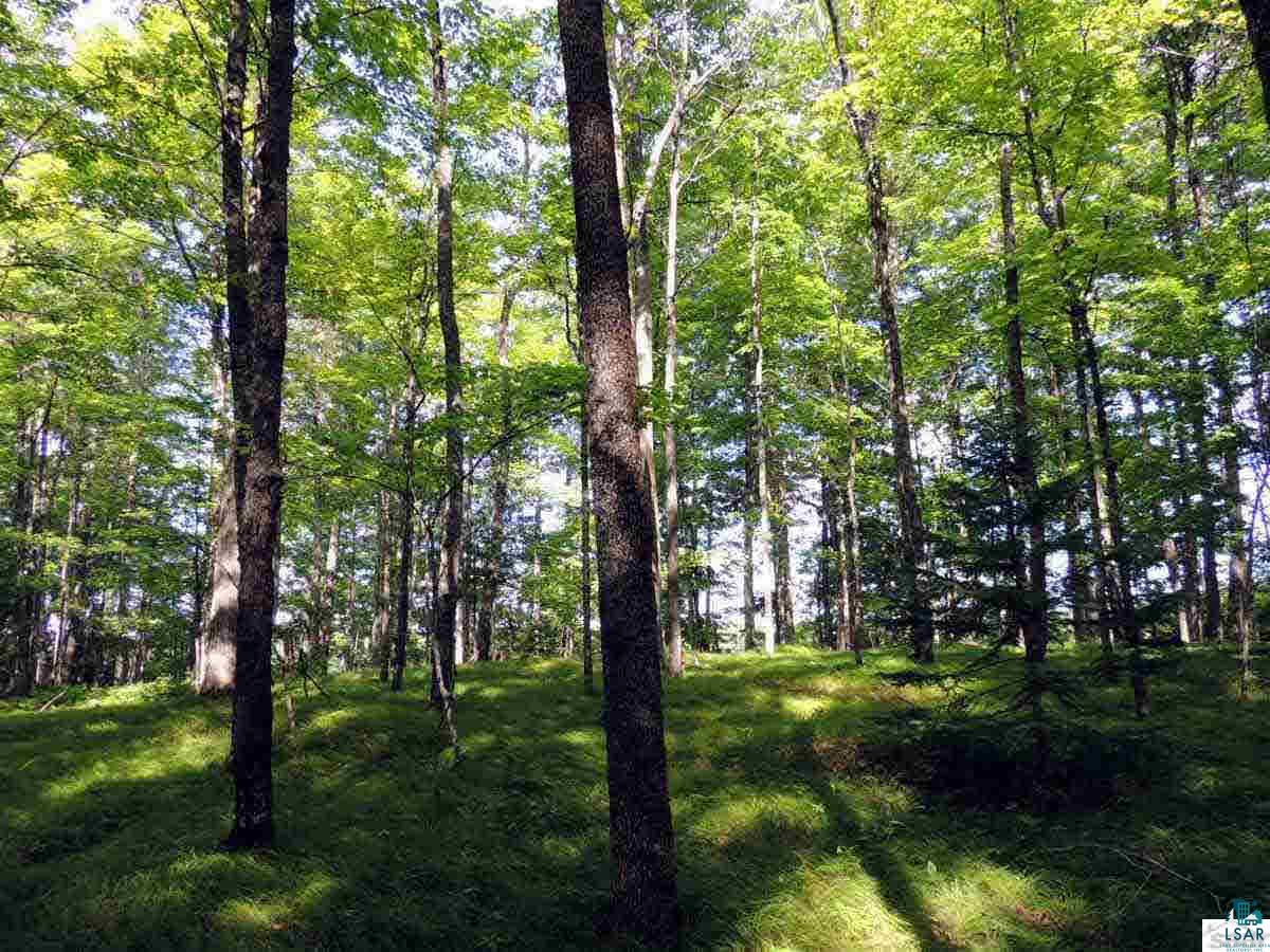 0 West Cable Lake Road Cable, WI 54821 - Photo 2 of 8 Gallery Image 2