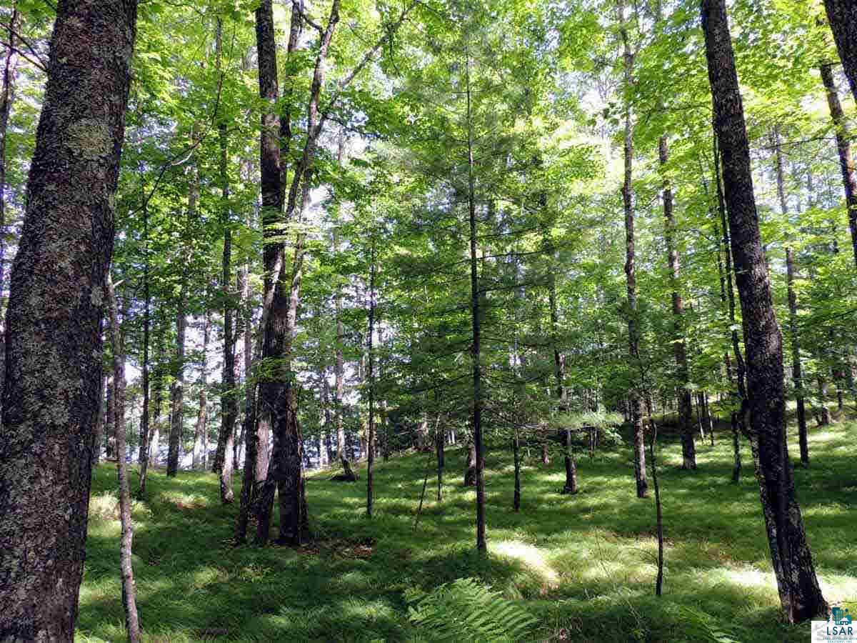 0 West Cable Lake Road Cable, WI 54821 - Photo 3 of 8 Gallery Image 3
