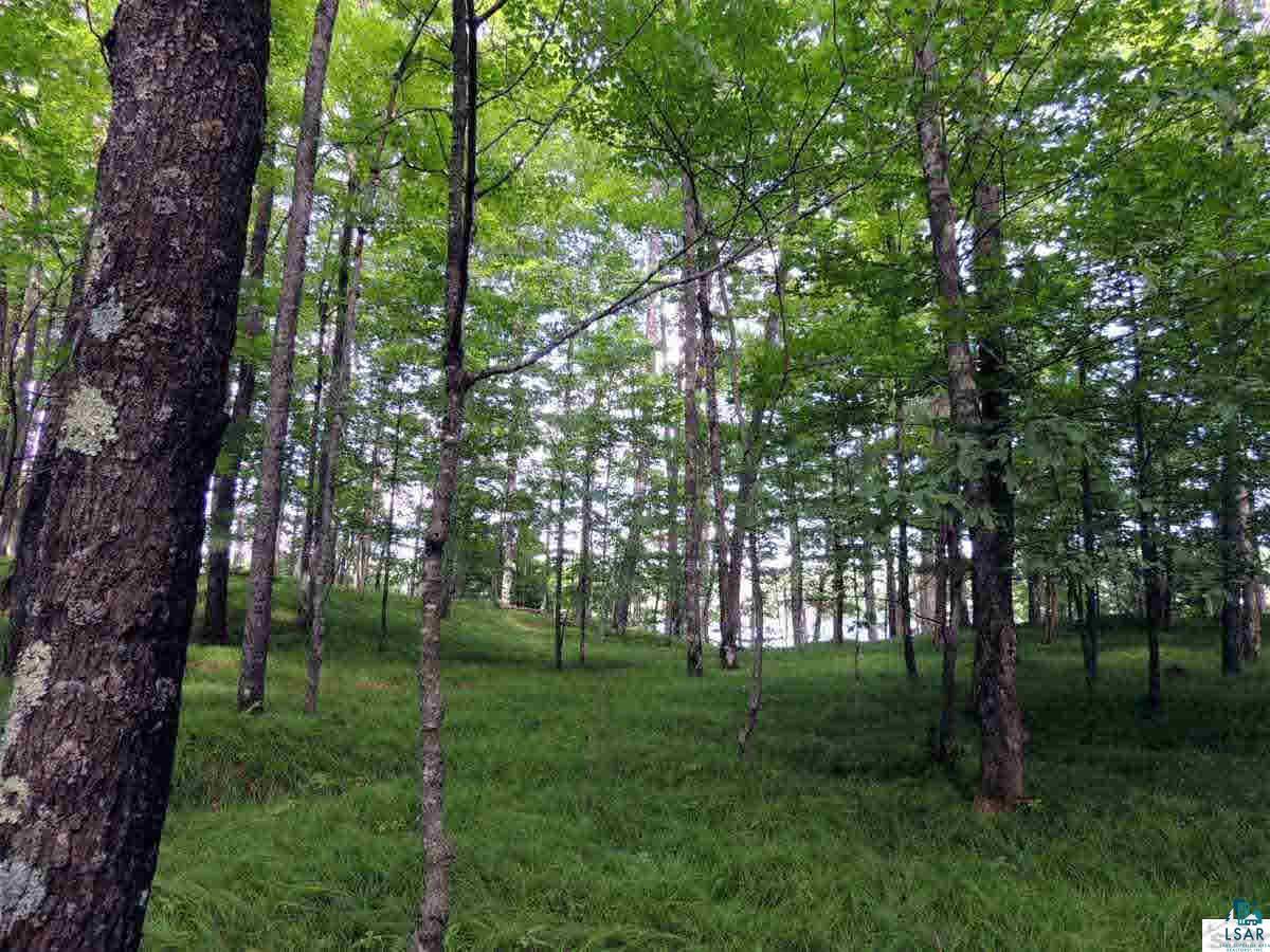 0 West Cable Lake Road Cable, WI 54821 - Photo 4 of 8 Gallery Image 4