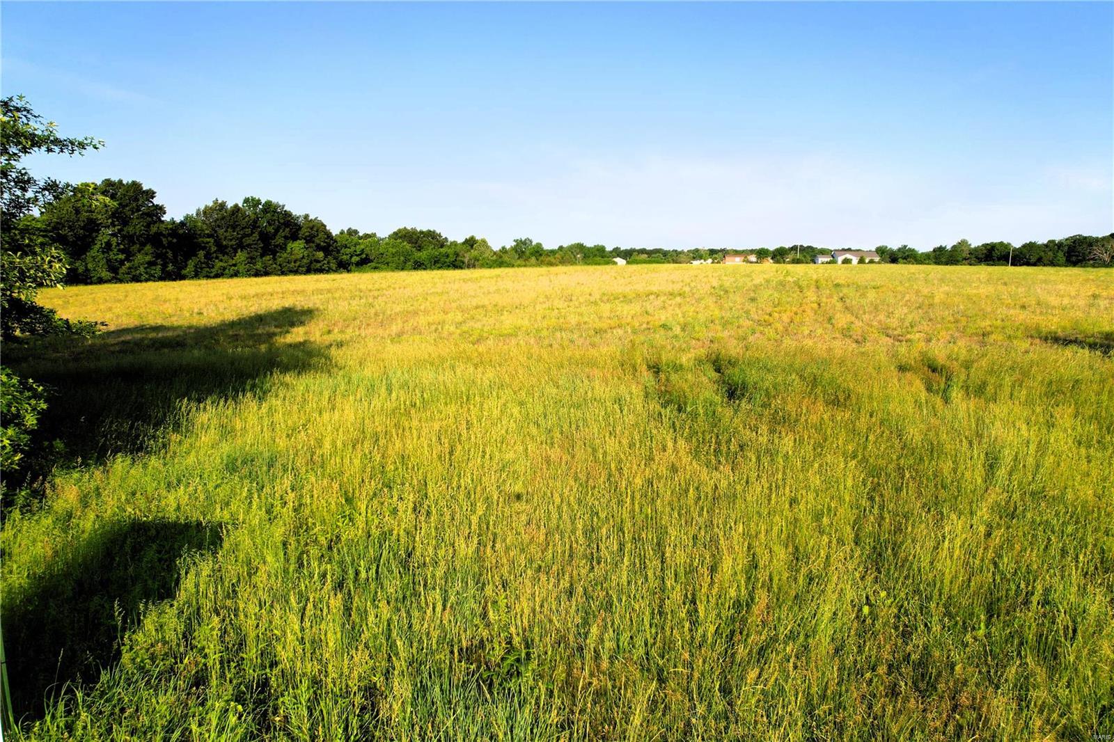 0 County Farm Road Wright City, MO 63390 - Photo 5 of 7