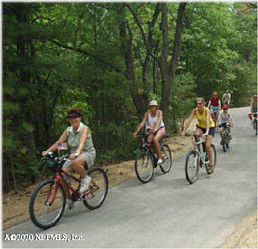 1780 Denmark Drive Fleming Island, FL 32003 - Photo 25 of 25 a couple of bicycles parked next to a road