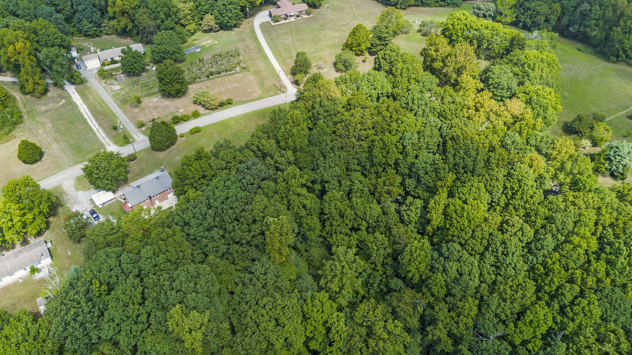 5874 Higdon Road Joelton, TN 37080 - Photo 11 of 40 Gallery Image 11