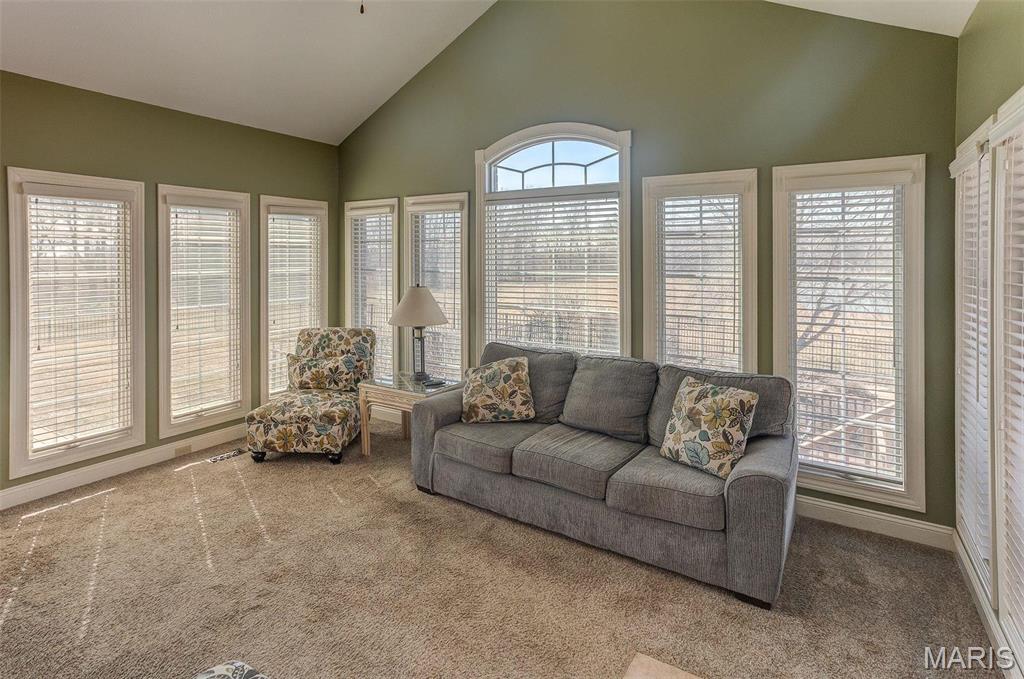 8119 Highway 159 Dorsey, IL 62021 - Photo 23 of 52