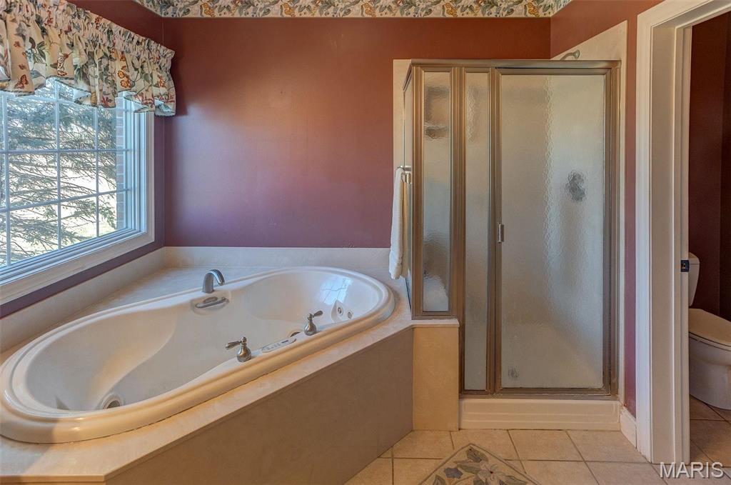 8119 Highway 159 Dorsey, IL 62021 - Photo 30 of 52