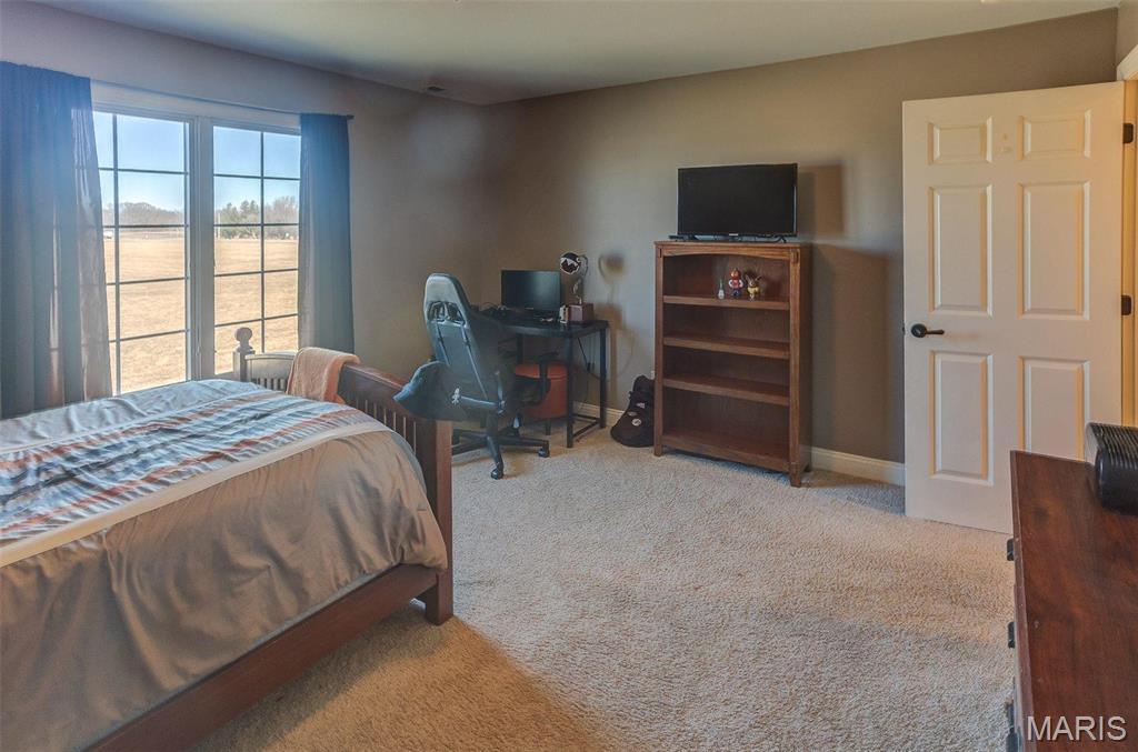 8119 Highway 159 Dorsey, IL 62021 - Photo 36 of 52