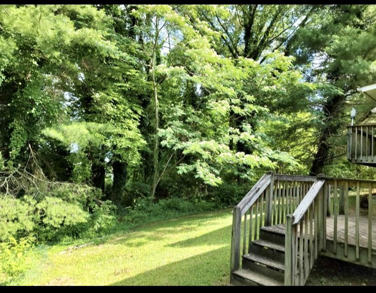 113 Maple Lane Oak Ridge, TN 37830 - Photo 5 of 36 image10